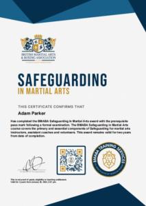 Safeguarding qualification in Martial Arts.